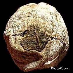 *ลูกอมหนุมานครองเมือง เนื้อชานหมาก รุ่นพูลสุข ปี๒๕๔๔ หลวงพ่อพูล วัดไผ่ล้อม นครปฐม*