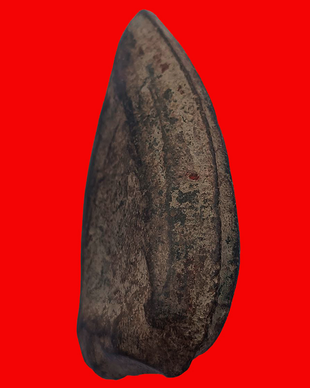 พระเนื้อดิน พิมพ์เก่าๆ พระบ้านเก่าเก็บ หลายสิบปี ไม่ทราบที่ ขนาดสูงประมาณ 7 ซ.ม.