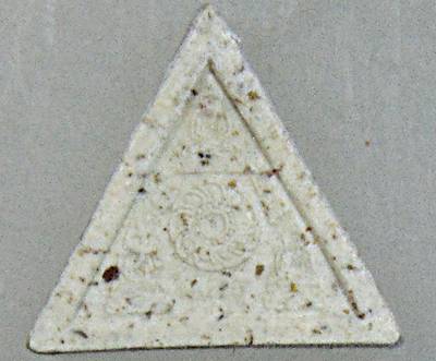 พระรูปเหมือนเนื้อผงองค์เล็ก หลวงพ่อชื้น วัดญาณเสน อยุธยา