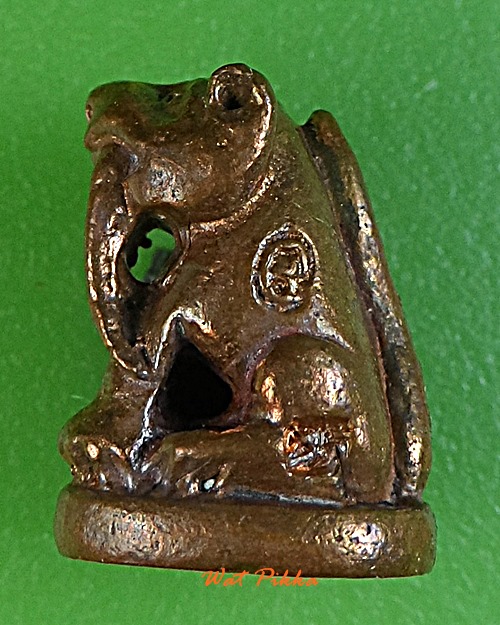 เสือเขี้ยวดาบ(จิ๋ว)วัดปริวาสราชสงคราม .769.