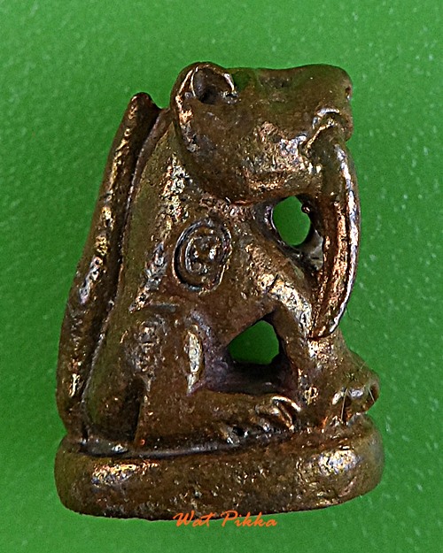 เสือเขี้ยวดาบ(จิ๋ว)วัดปริวาสราชสงคราม .769.