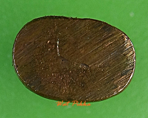 เสือเขี้ยวดาบ(จิ๋ว)วัดปริวาสราชสงคราม .769.