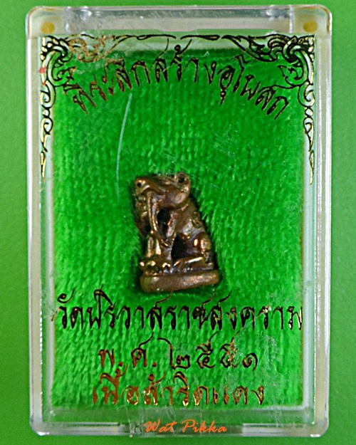 เสือเขี้ยวดาบ(จิ๋ว)วัดปริวาสราชสงคราม .769.