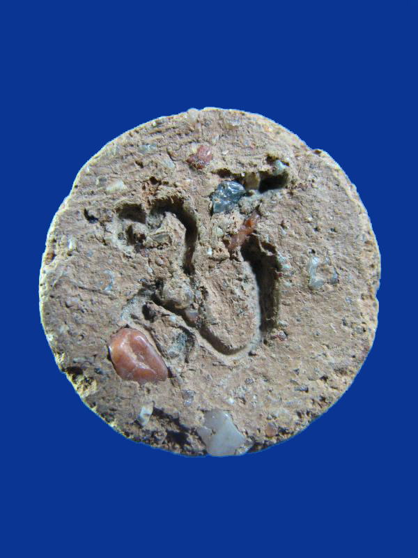 $ จันทร์ลอย หลวงพ่อครื้น วัดสังโฆฯ สุพรรณบุรี