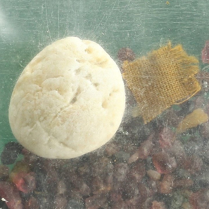 หอนพญานาค(ปฐวีธาตุ)+พลอยเสก+จีวรหลวงปู่คำพันธ์ โฆสปัญโญ วัดธาตุมหาชัย นครพนม