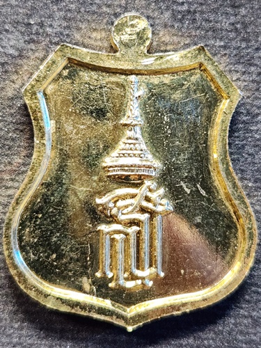 วัดพิกุลทอง สิงห์บุรี เหรียญ พระปางซ่อนหา หลวงพ่อแพ  หลัง พระนามาภิไธย ย่อ สธ 