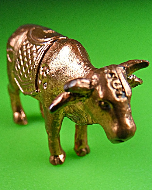 วัวธนูหลวงพ่อแสวง วัดโยธินประดิษฐ์(บางวัว) สมุทรปราการ .875.