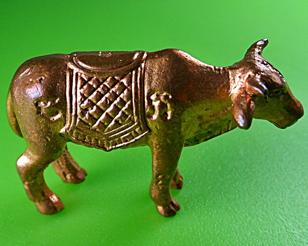 วัวธนูหลวงพ่อแสวง วัดโยธินประดิษฐ์(บางวัว) สมุทรปราการ .875.