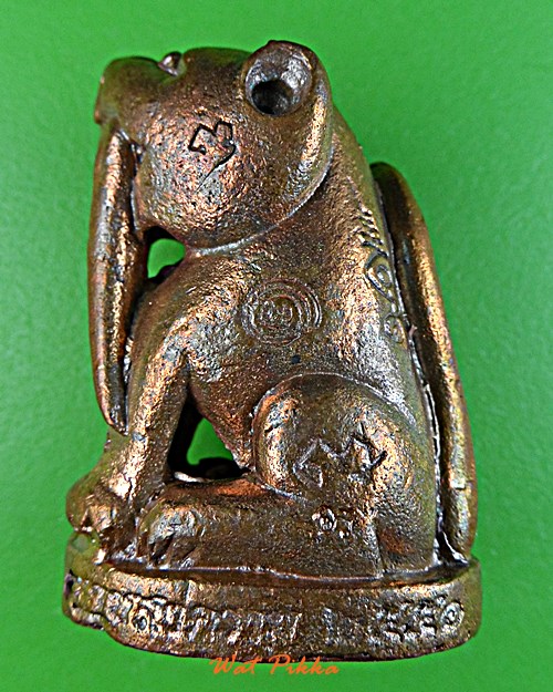 เสือเขี้ยวดาบ(ใหญ่) วัดปริวาสราชสงคราม กทม. .877.