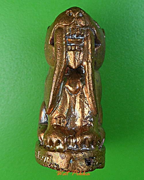 เสือเขี้ยวดาบ(ใหญ่) วัดปริวาสราชสงคราม กทม. .877.