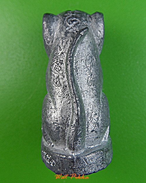 เสือเขี้ยวดาบ(ใหญ่) วัดปริวาสราชสงคราม กทม. .878.