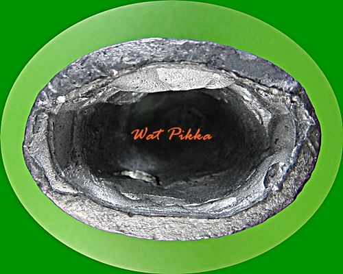 เสือเขี้ยวดาบ(ใหญ่) วัดปริวาสราชสงคราม กทม. .878.