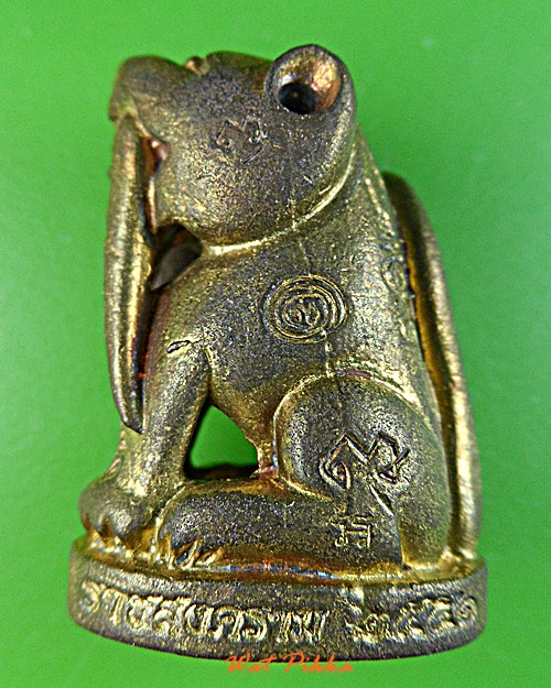 เสือเขี้ยวดาบ(ใหญ่) วัดปริวาสราชสงคราม กทม. .879.