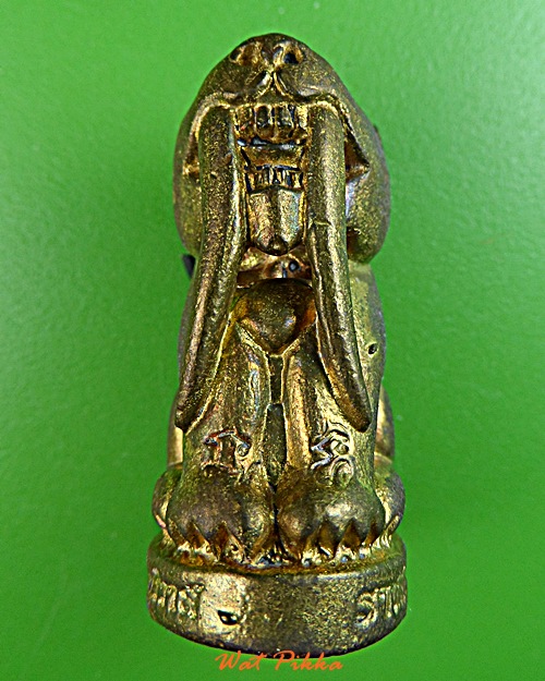 เสือเขี้ยวดาบ(ใหญ่) วัดปริวาสราชสงคราม กทม. .879.