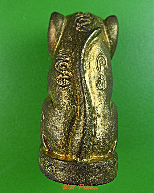 เสือเขี้ยวดาบ(ใหญ่) วัดปริวาสราชสงคราม กทม. .879.