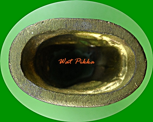 เสือเขี้ยวดาบ(ใหญ่) วัดปริวาสราชสงคราม กทม. .879.