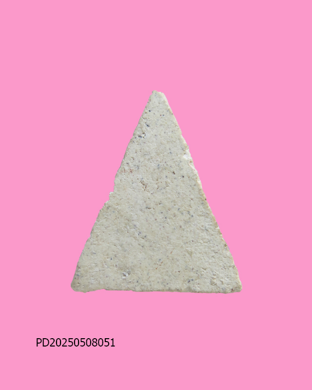 นางพญาเนื้อผง พิมพ์สดุ้งกลับ