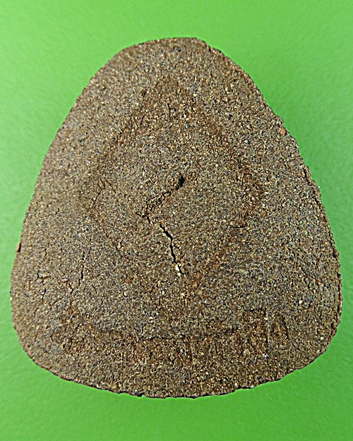 พระปิดตา วัดหนองตำลึง ชลบุรี .1262.