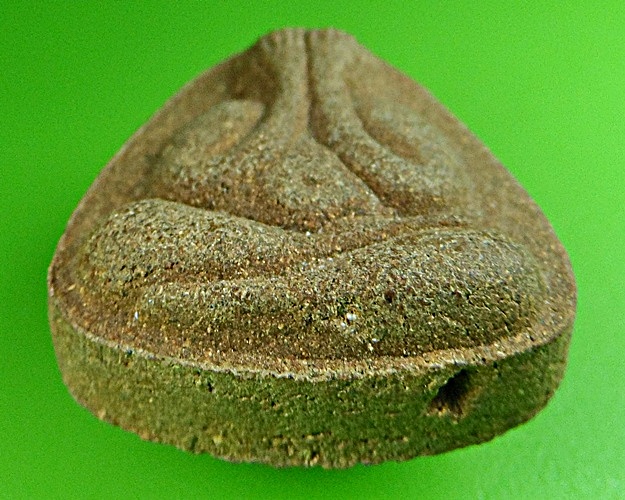 พระปิดตา วัดหนองตำลึง ชลบุรี .1262.