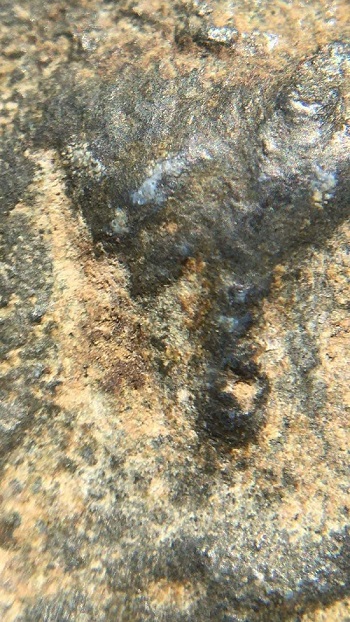 พระขุนไกร วัดพระรูป จ. สุพรรณบุรี พิมพ์ประภามณฑล ชินเขียว