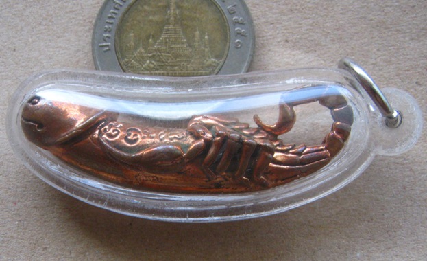 ปลัดแมงป่องเรียกทรัพย์ หลวงปู่ครูบาธรรมมุนี พุทธสถานสุประดิษฐิ์เมธี จ.มหาสารคาม เลี่ยมพร้อมใช้