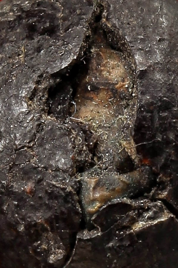 ลูกอมครั่งหลวงพ่อทองศุข วัดโตนดหลวง ขนาดเหรียญ ๑ บาท ด้านในสอดตะกรุดสาริกา