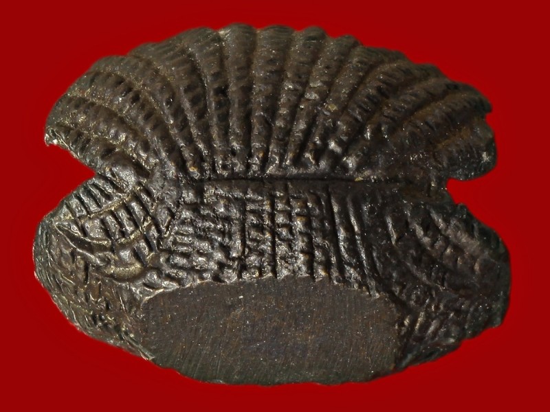 พระพิฆเนศบรรทมสินธุ์ ด้านหน้าเจิมแป้ง