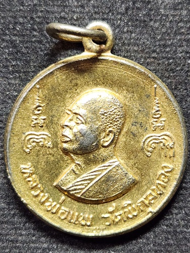 วัดพิกุลทอง สิงห์บุรี เหรียญหลวงพ่อแพ หลังสมเด็จโต  2519
