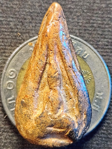 กรุทุ่งเศรษฐี กำแพงเพชร พระกำแพง เม็ดมะเคล็ด 