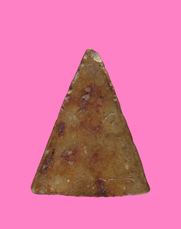 นางพญามหาลาภ แม่ชีบุญเรือน วัดสารนารท ปี 2499