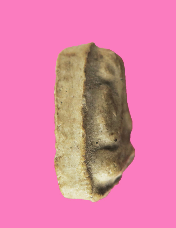 พระปิดตาเนือผงน้ำมัน เก่า ไม่ทราบที่