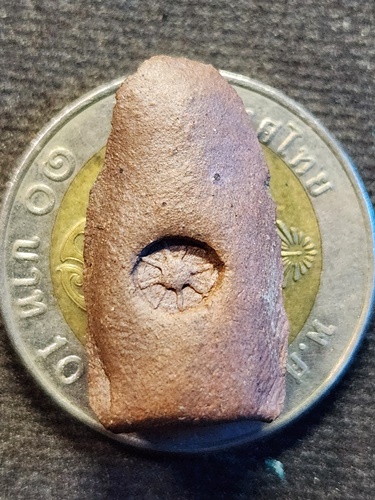 วัดมหาวัน จังหวัดลำพูน พระรอด ย้อนยุค 1300 ปี พิมพ์ใหญ่เครื่องราช  ปี 2559