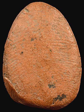 นางพญากลีบบัว เนื้อดิน