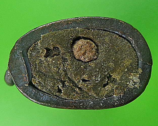 เสือหลวงพ่อสมชาย วัดปริวาสราชสงคราม กทม .1346.