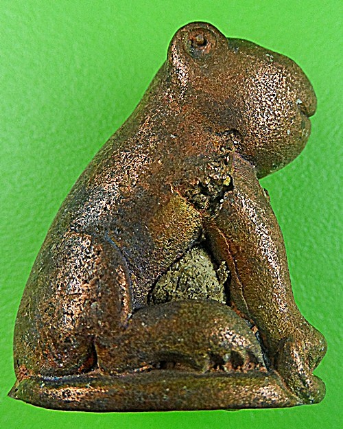 เสือหลวงพ่อสมชาย วัดปริวาสราชสงคราม กทม .1347.