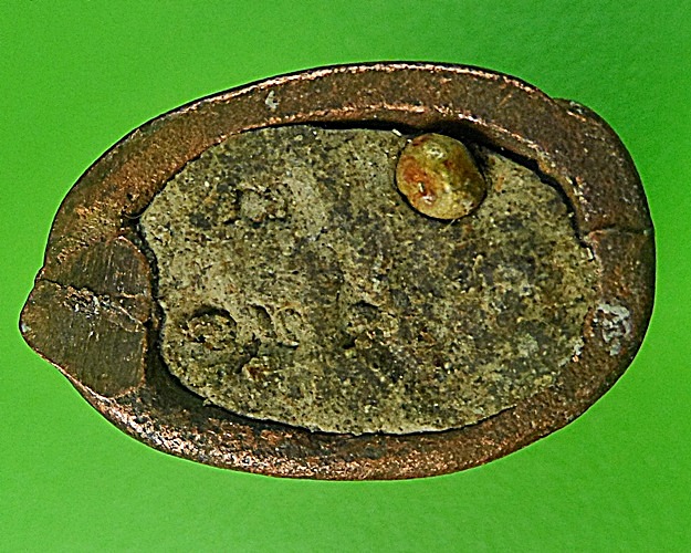 เสือหลวงพ่อสมชาย วัดปริวาสราชสงคราม กทม .1347.