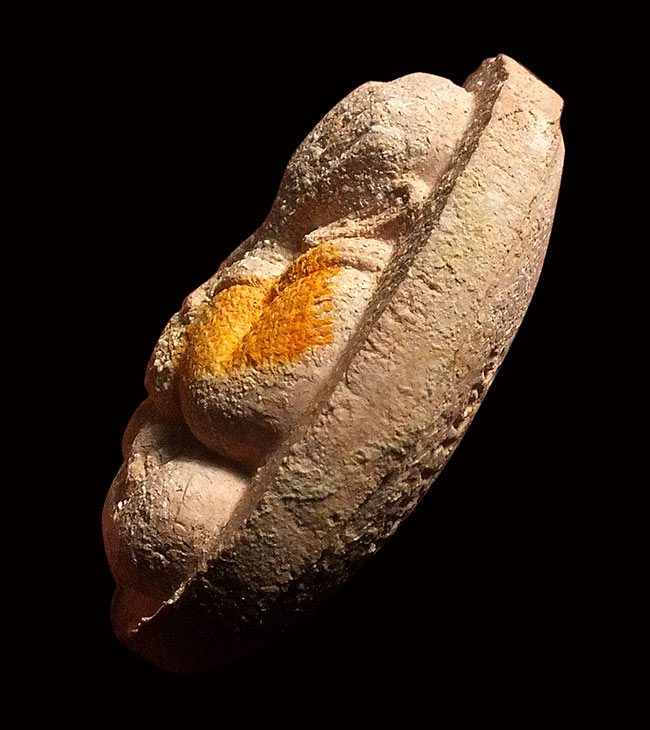 พระปิดตามหาลาภสารพัดดี หลวงพ่อคูณปริสุทโธ เนื้อกระเบื้องหลังคาโบสถ์หลังฝังปรก ออกวัดบ้านคลอง ปี2538