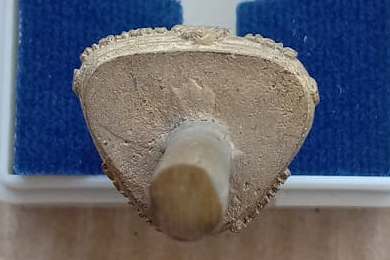 รูปหล่อโบราณเหวี่ยงมือ ไม่ตัดเดือย (พิเศษ เดือยยาว) หลวงปู่แผ้ว ปวโร จ นครปฐม ปี2554+กล่อง