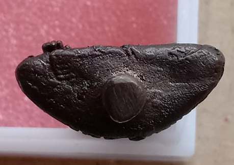 พระยอดธง เซยิค84 หลวงปู่แผ้ว วัดกำแพงแสน จ.นครปฐม ปี2548 โค๊ต ผป เนื้อทองผสม สร้าง484องค์