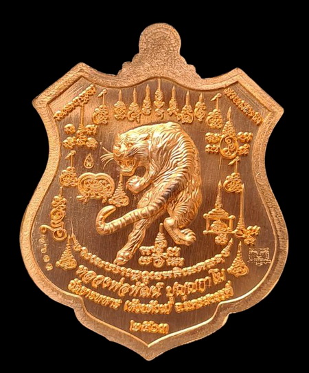 เคาะแรกแดง..พยัคฆ์เจ้าพระยา ๒๕๖๓..ทองแดงผิวไฟลงยาม่วง # ๒๖๑๓..ล.พ.พัฒน์ วัดห้วยด้วน จ.นครสวรรค์