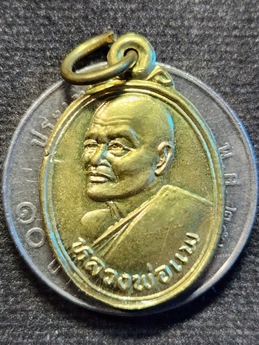 วัดพิกุลทอง จังหวัดสิงห์บุรี เหรียญเม็ดแตงหลวงพ่อแพ ๕๓๕ ปี 2535