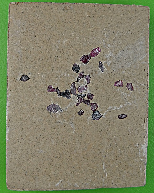 พระผงสาริกาครูบากฤษณะ สำนักสงฆ์เวฬุวัน โคราช .1564.