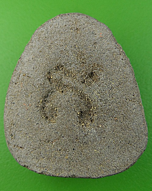 พระปิดตาหลวงพ่อนิยม วัดตะเคียนเตี้ย ชลบุรี .1569.