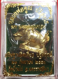 หมูมหามงคลคูณทอง หลวงพ่อคูณ วัดบ้านไร่ ปี2553 เนื้อทองทิพย์ ใต้ฐานอุดผงจีวรเกศา+ตะกรุด เลข1463+กล่อง