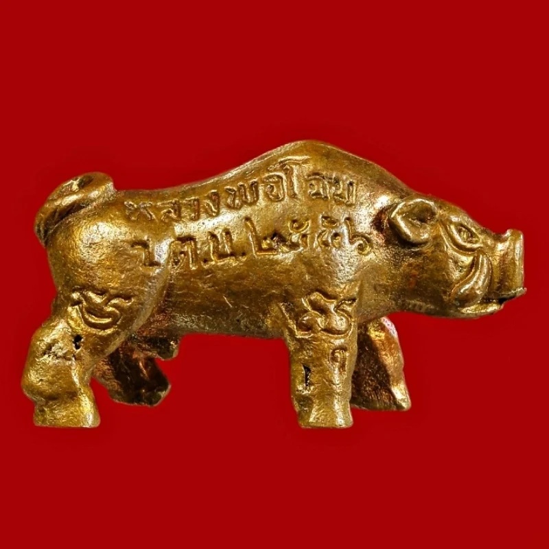 หมูเจ้าทรัพย์หลวงพ่อโฉม วัดตำหนัก ปทุมธานี