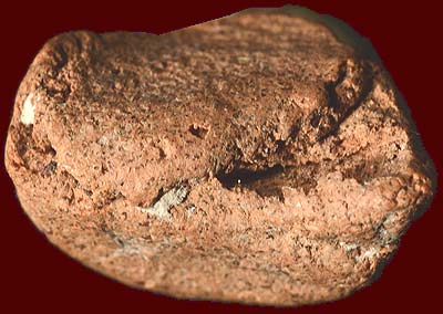 *พระกำแพงเม็ดน้อยหน่า กรุวัดพระแก้ว กำแพงเพชร*