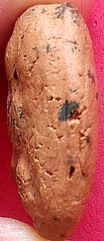 *พระเปิม เนื้อดิน กรุวัดคู้ยาง กำแพงเพชร หลังจาร*