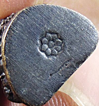 รูปหล่อหลวงปู่ทวด