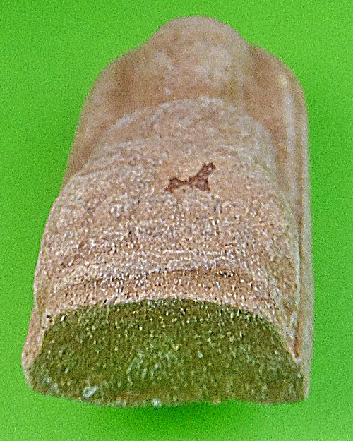 หลวงปู่ทวด วัดทรงเมตตาวนาราม ชลบุรี .1818.