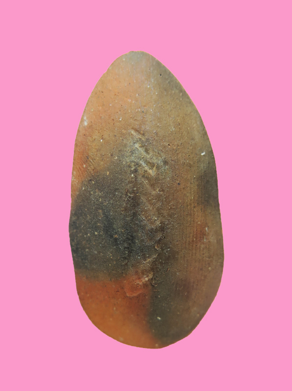 ขุนแผนไข่ผ่า หลังมีรอย